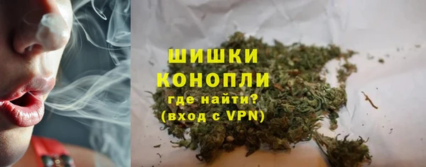 прущие грибы Покров