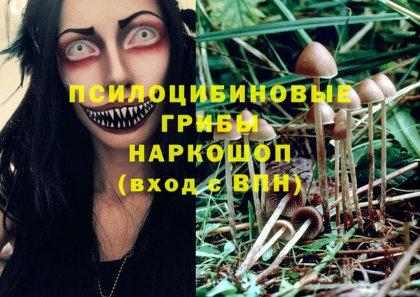 героин Абаза