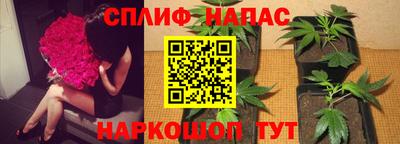 mdma Пушкино