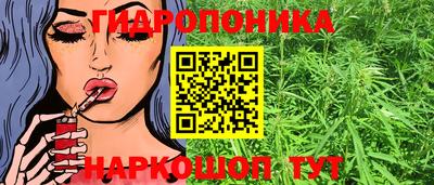 дурь Пугачёв