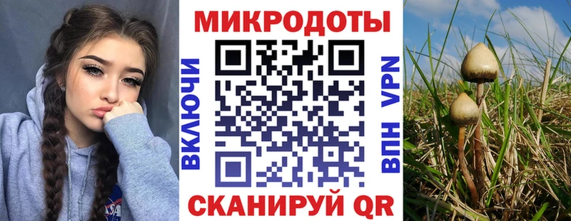 где купить наркотик  Соликамск  Галлюциногенные грибы прущие грибы 