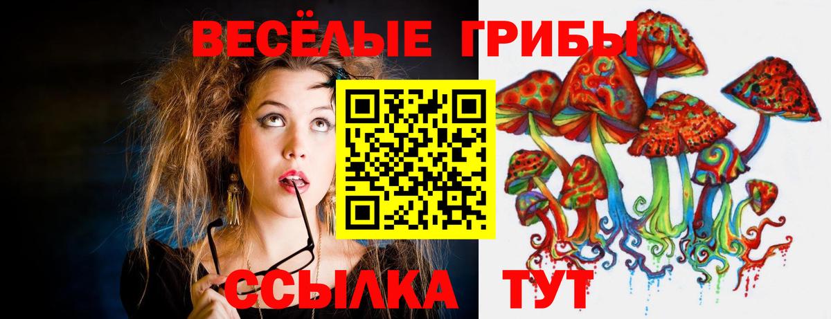 Соликамск  Псилоцибиновые грибы Psilocybe  Вход с VPN 