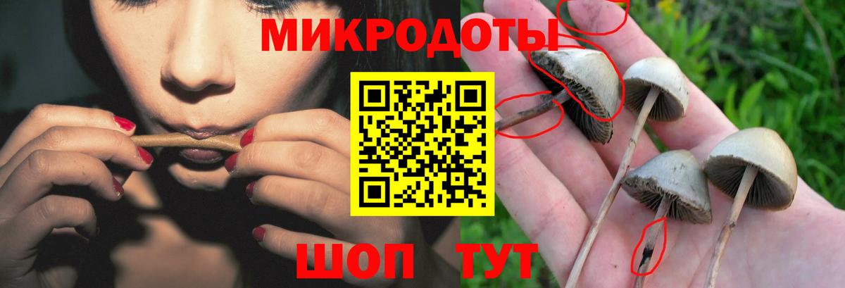 Галлюциногенные грибы Cubensis Соликамск